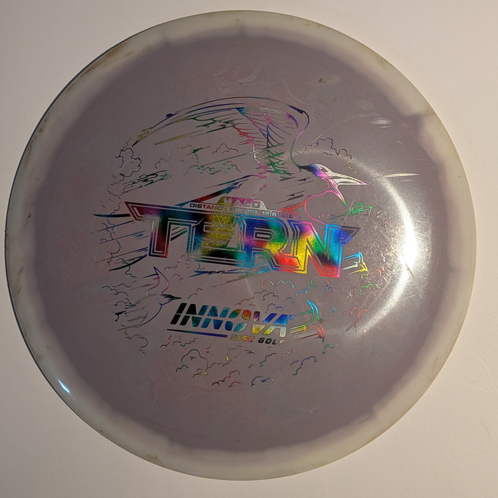 Halo Tern