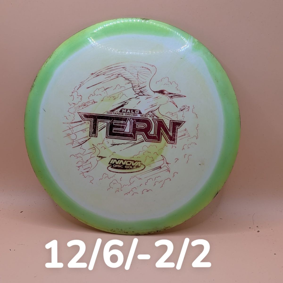 Halo Tern